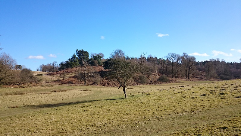 Knole Park