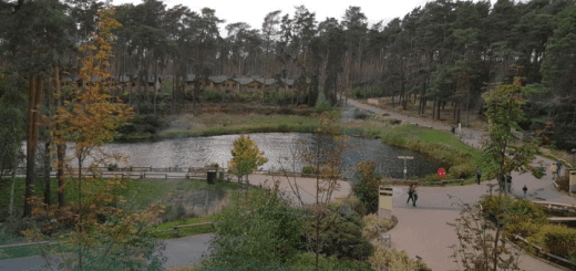 View of Center Parcs