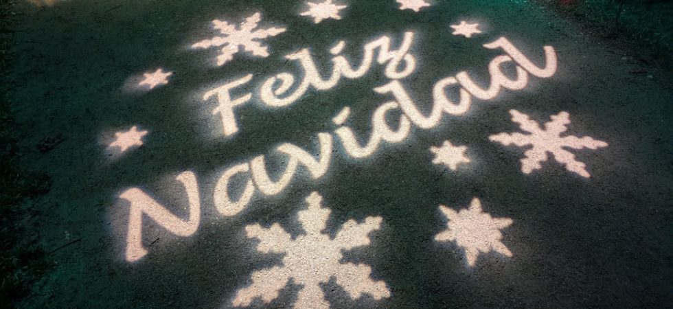 Feliz Navidad light display at Bedgebury Christmas Lights