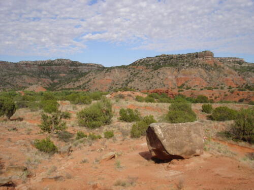 Palo Druro Canyon State Park