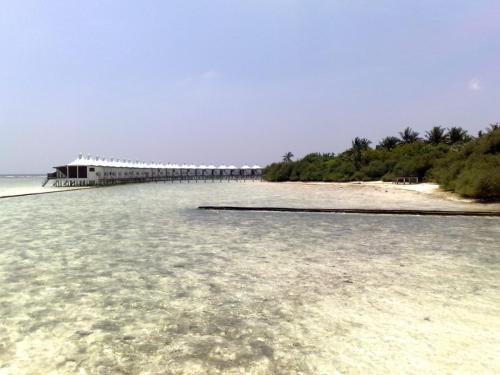The Water Bungalows