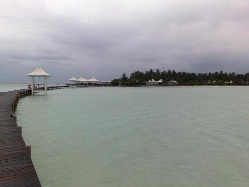 The Jetty