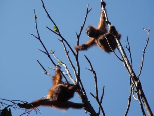 Reg & Katie